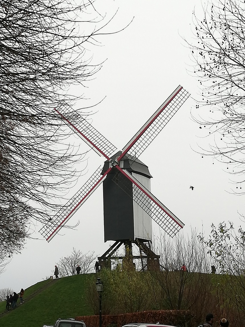 Mulino a vento Bruges cosa vedere sitoweb Fuori Routine